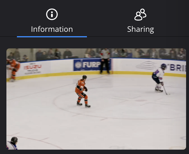 Information pane showing clip thumbnail