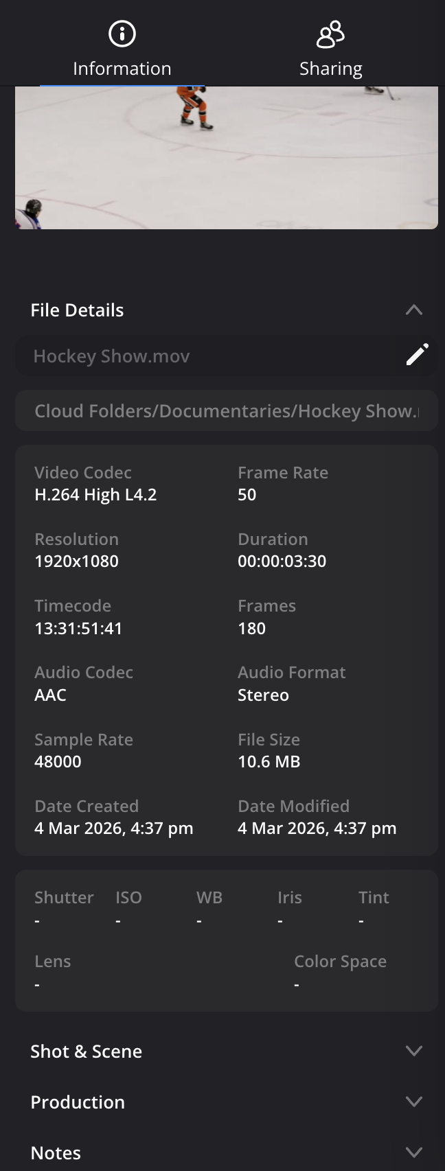 Information pane showing clip metadata